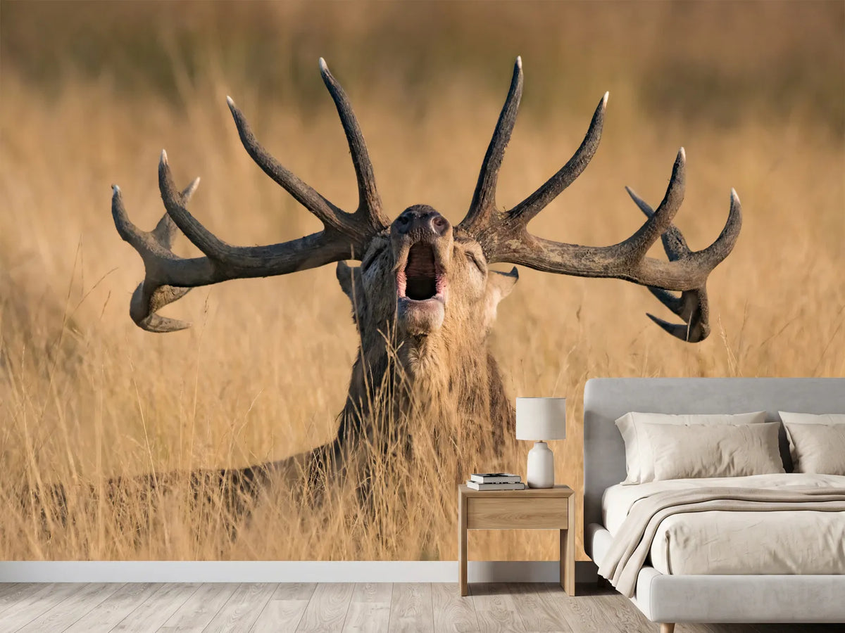 photo-wallpaper-ready-to-rut-x