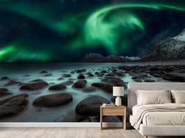 photo-wallpaper-dragons-fly