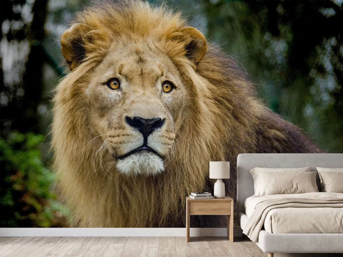 photo-wallpaper-king-of-wildlife