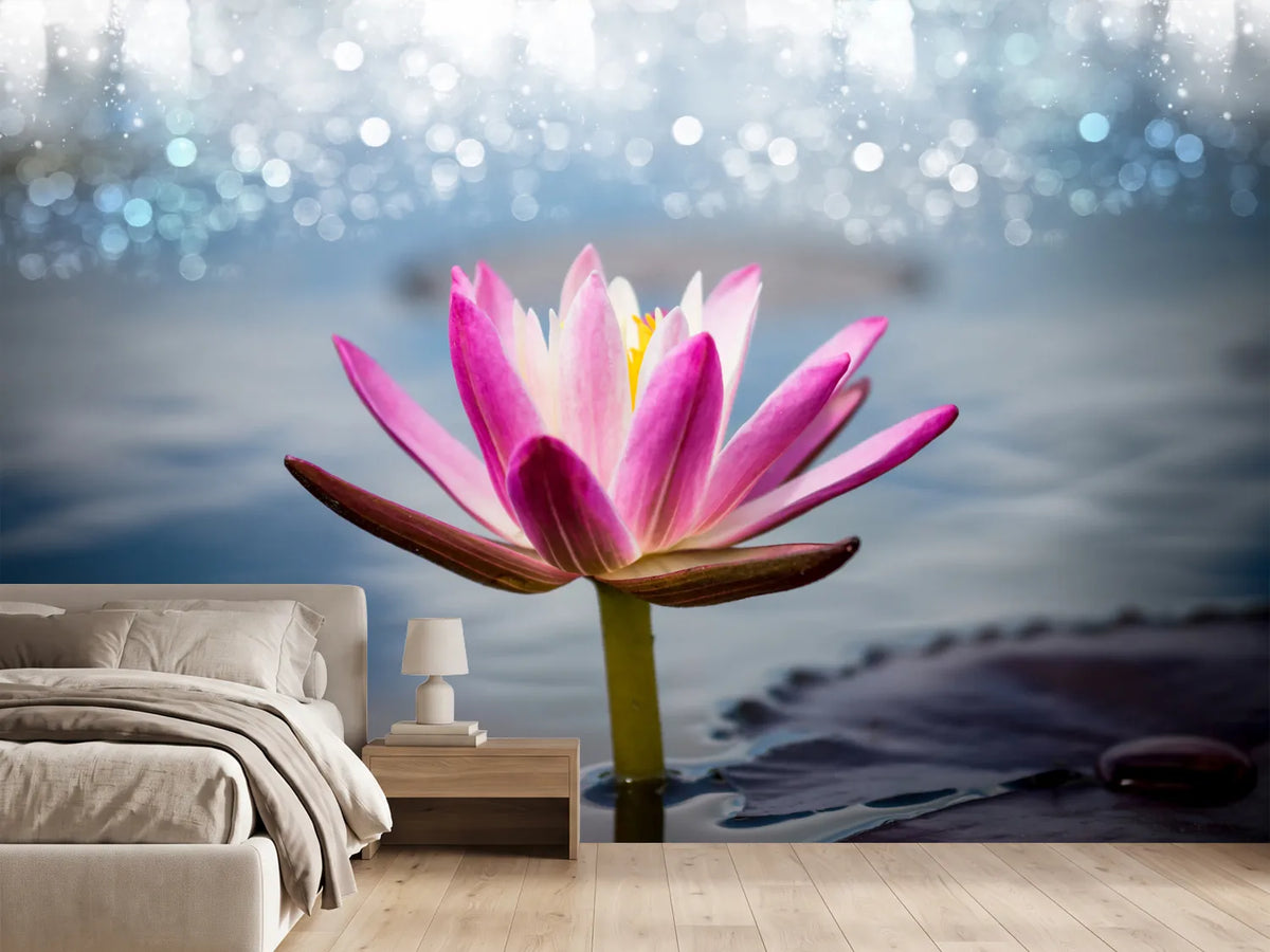 photo-wallpaper-lotus-in-the-morning-dew