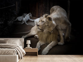 photo-wallpaper-the-lion-couple
