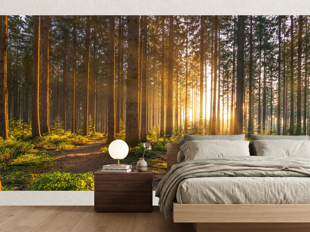 photo-wallpaper-silent-forest-in-spring-with-beautiful-bright-sun-rays