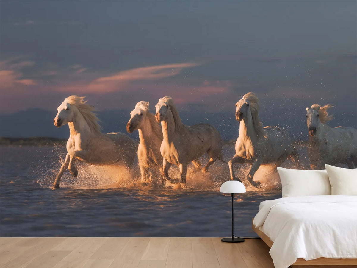 photo-wallpaper-camargue-horses-on-sunset-xve