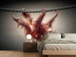 photo-wallpaper-don-t-murder-our-primeval-forests-x