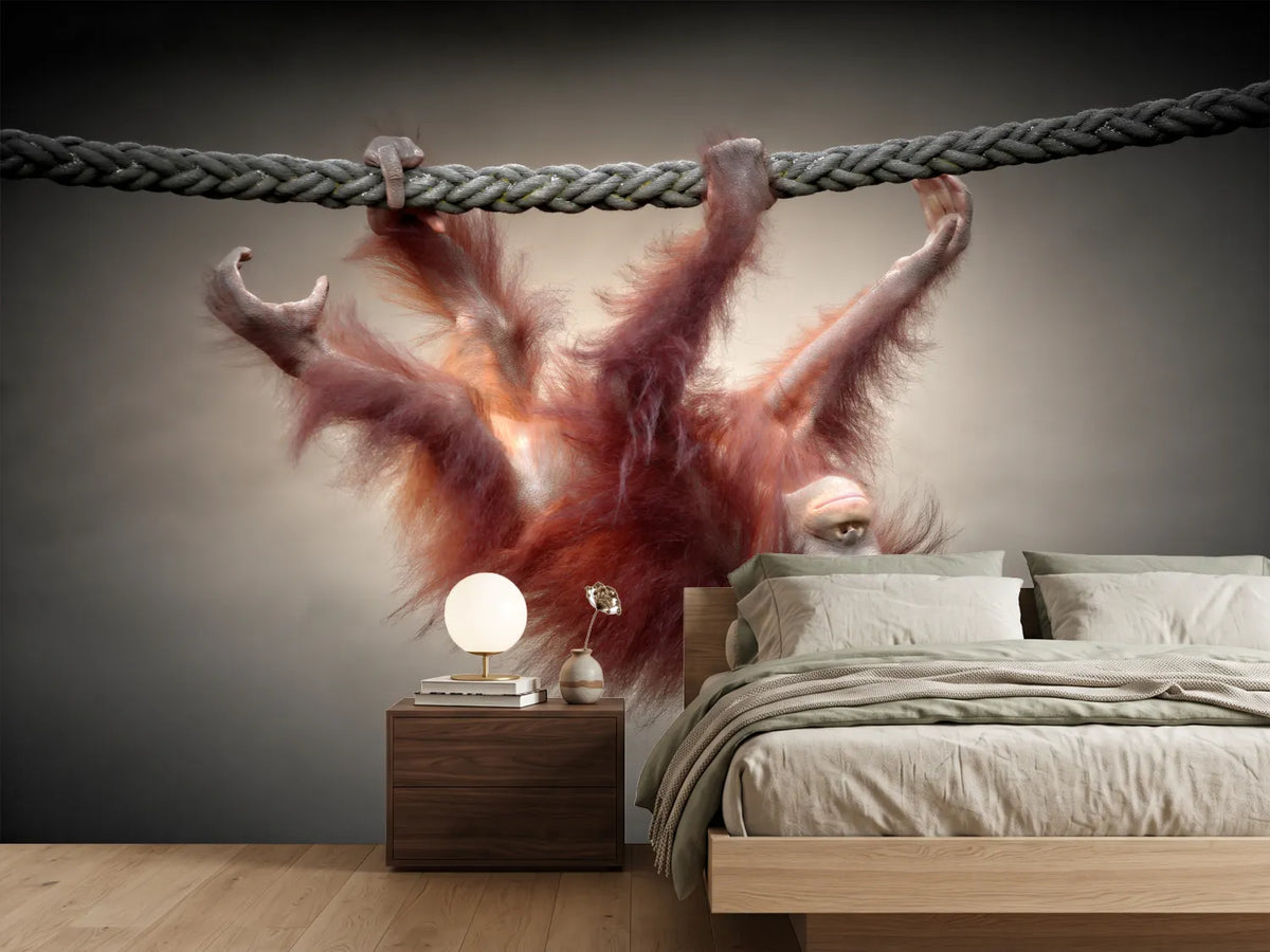 photo-wallpaper-don-t-murder-our-primeval-forests-x