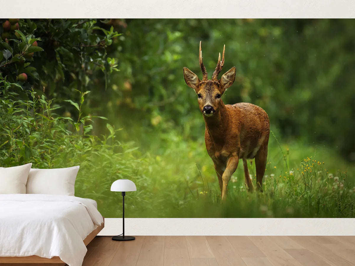 photo-wallpaper-wild-atmosphere