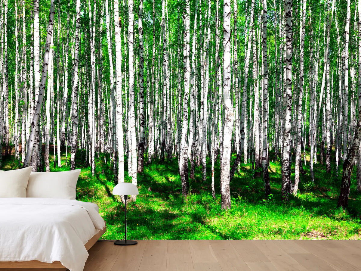 photo-wallpaper-summerly-birch-forest