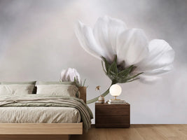 photo-wallpaper-simply-cosmos