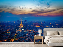 photo-wallpaper-the-eiffel-tower-in-france