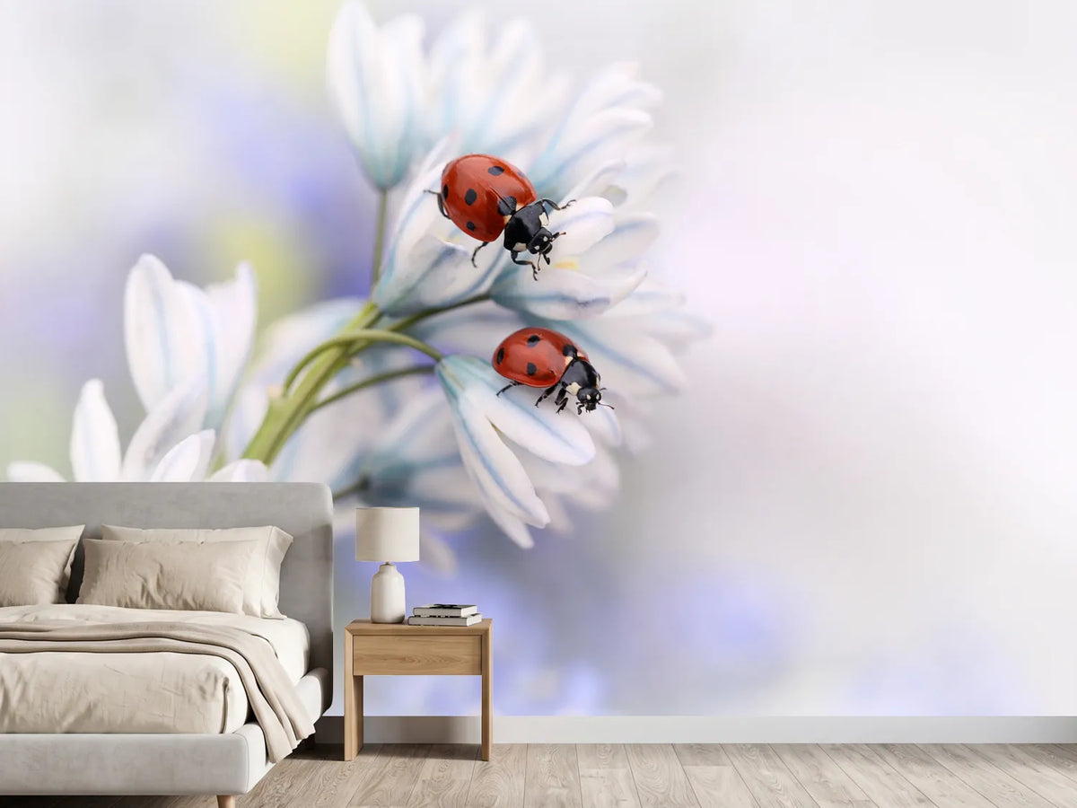 photo-wallpaper-ladybirds