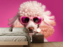 photo-wallpaper-white-poodle-in-pink-sunglasses-against-a-bold-pink-backdrop