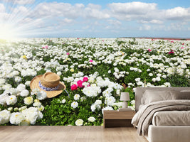photo-wallpaper-spring-flower-meadow