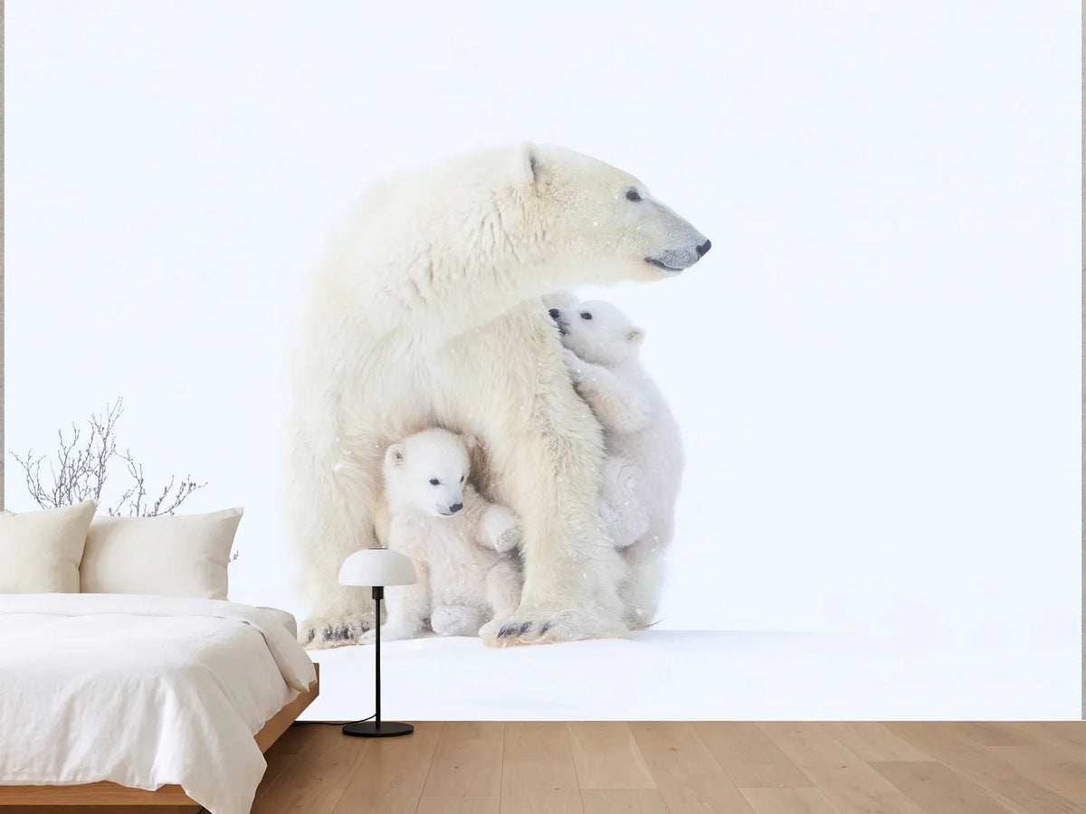 photo-wallpaper-polar-bear-mother-and-cubs