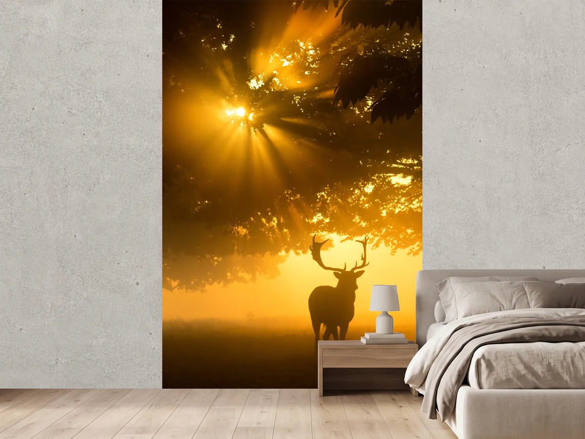 photo-wallpaper-mist-on-tree-cant-stop-sunshine-x