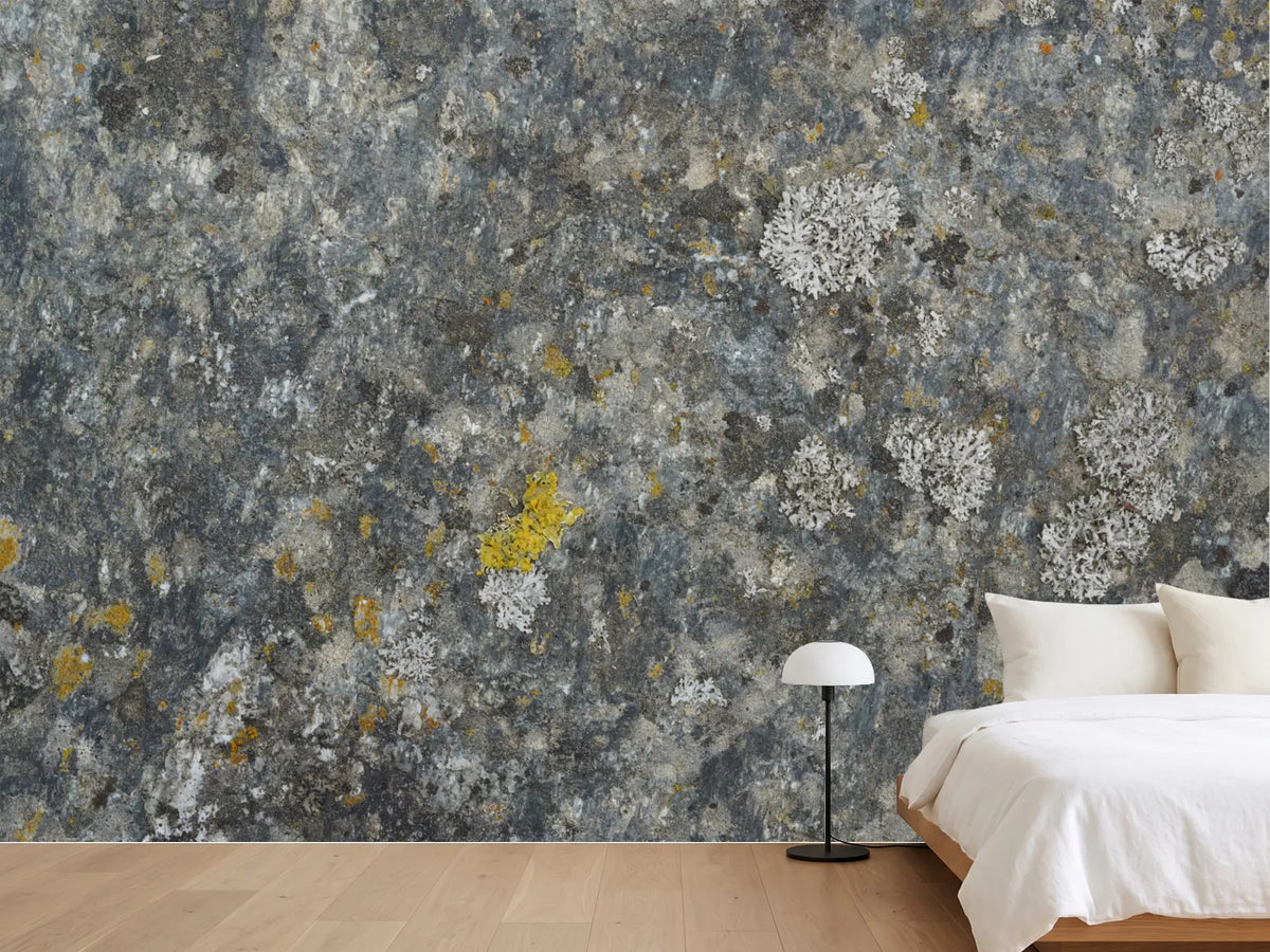 photo-wallpaper-weathered-stone-lichen