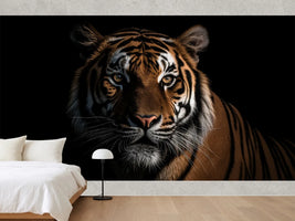 photo-wallpaper-portrait-of-a-tiger