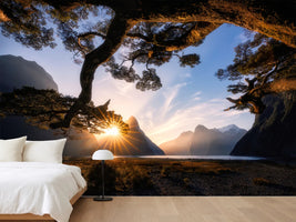 photo-wallpaper-sunny-day-in-milford-sound-x