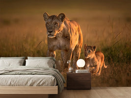 photo-wallpaper-mom-lioness-with-cub-x