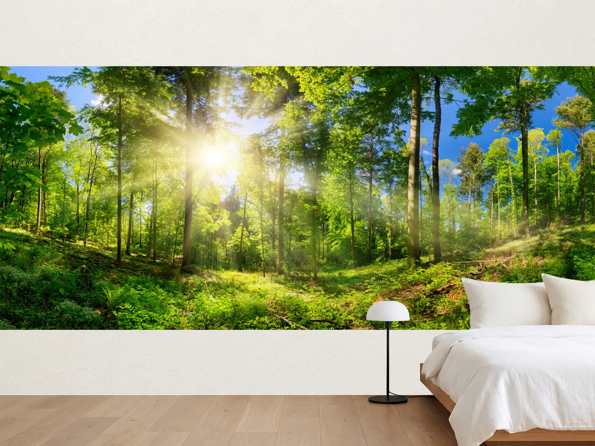 photo-wallpaper-sunlit-deciduous-woodland-with-sunbeams-through-fresh-green-leaves