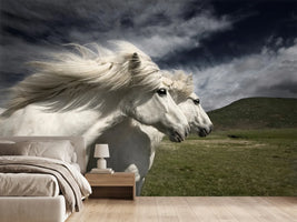 photo-wallpaper-interplay