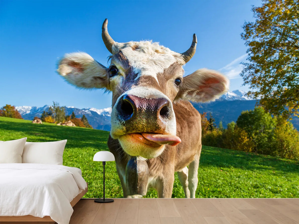 photo-wallpaper-cow-on-the-alp