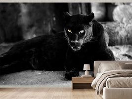 photo-wallpaper-large-black-panther