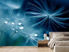 photo-wallpaper-soft-touch-x