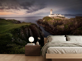 photo-wallpaper-fanad-head-x
