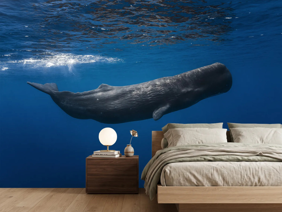 photo-wallpaper-sperm-whale