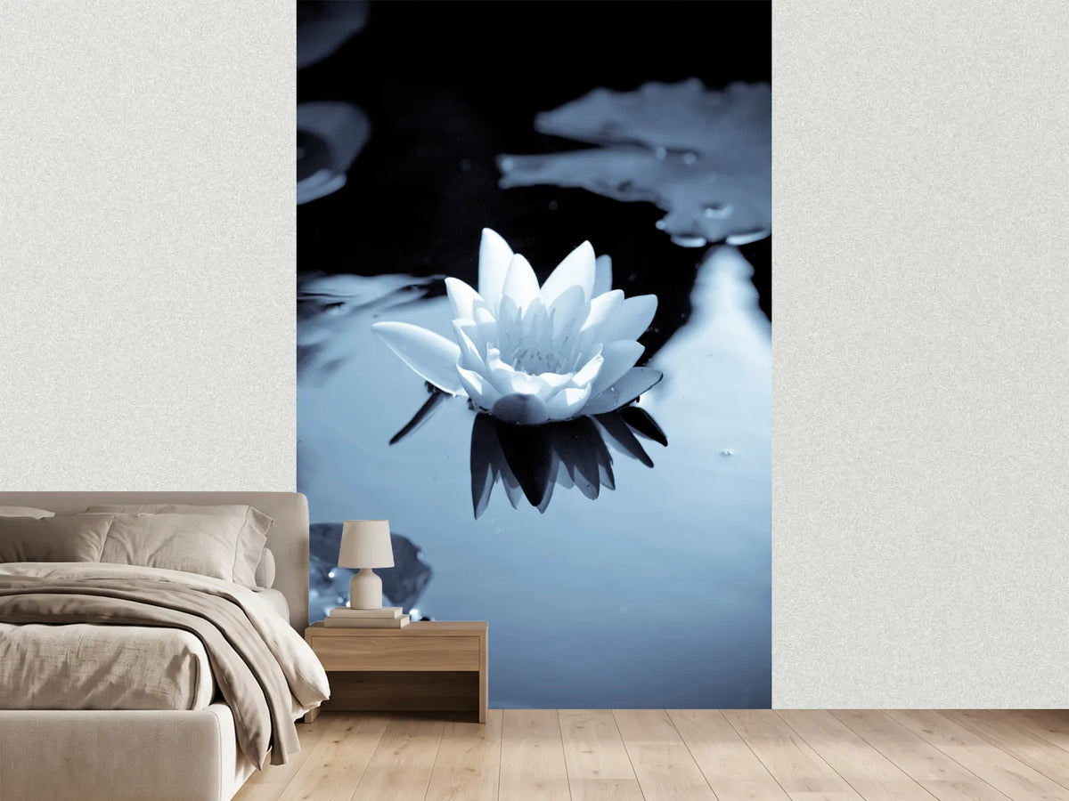 photo-wallpaper-black-and-white-photograph-waterlily