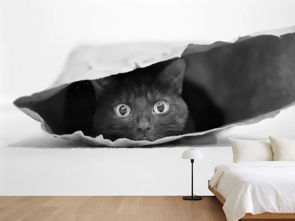 photo-wallpaper-cat-in-a-bag-x