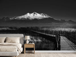 photo-wallpaper-road-to-mountain-x