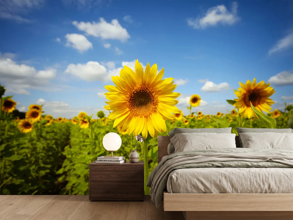 photo-wallpaper-summer-sunflowers