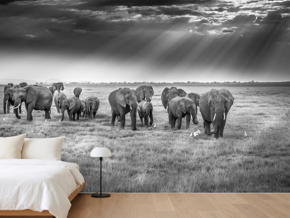 photo-wallpaper-breakfast-with-pachyderms-x