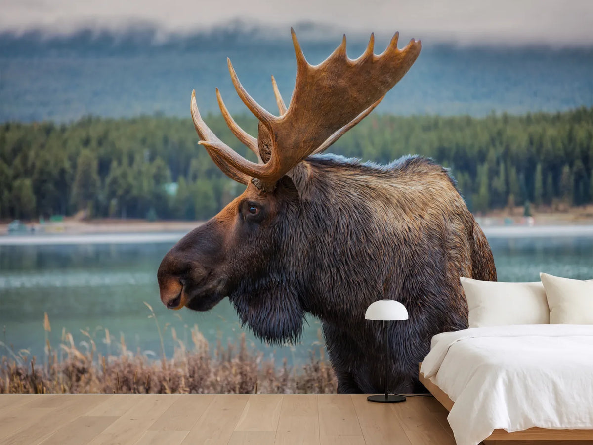 photo-wallpaper-moose-in-autumn-wilderness