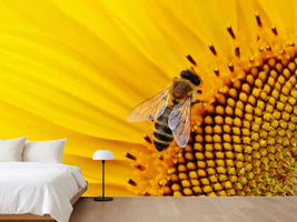 photo-wallpaper-bee-on-the-sunflower