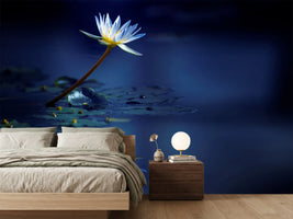 photo-wallpaper-reflection-xdb