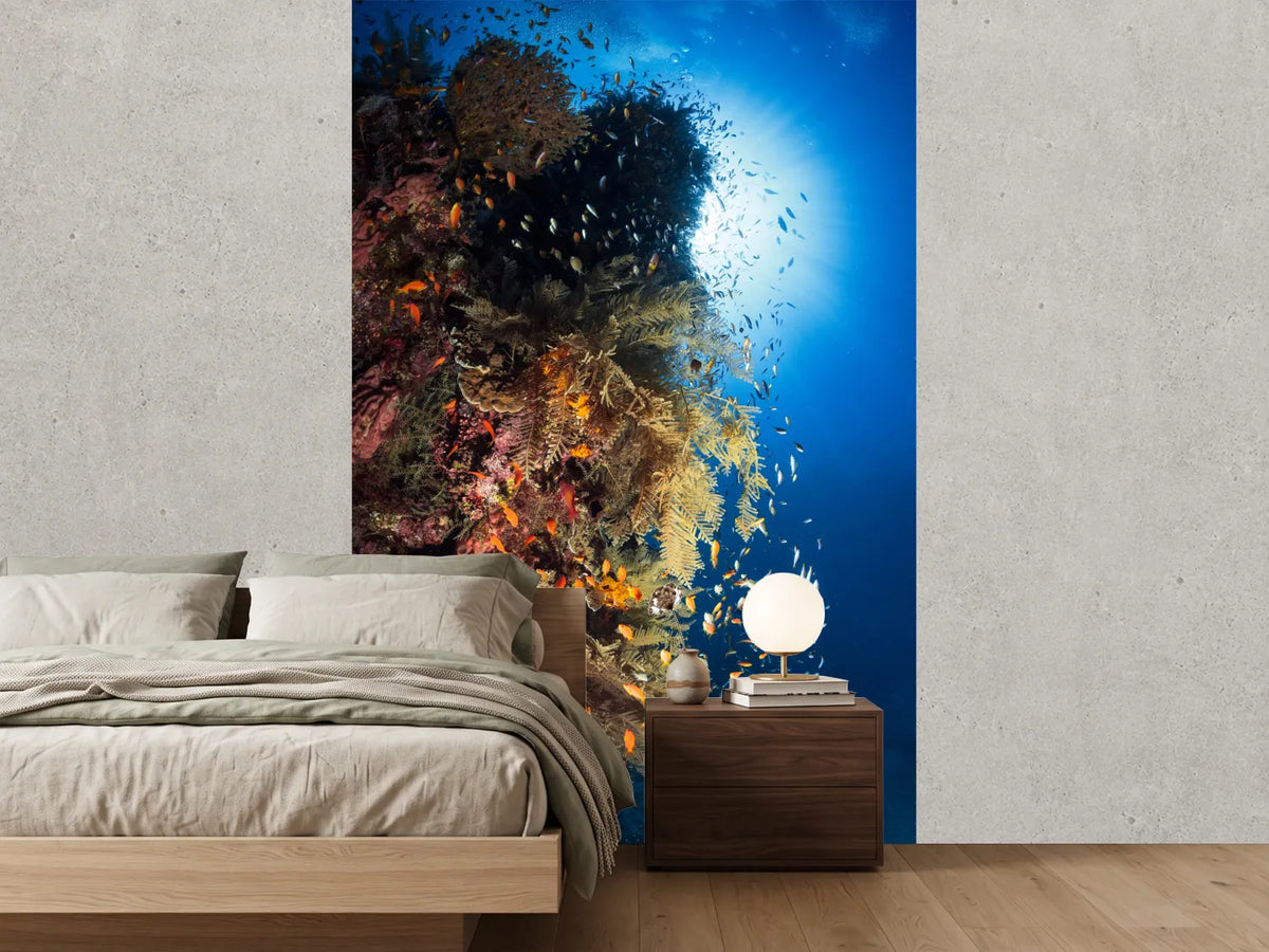 photo-wallpaper-life-explosion-ii