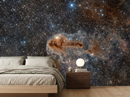 photo-wallpaper-cosmic-dust-and-stars