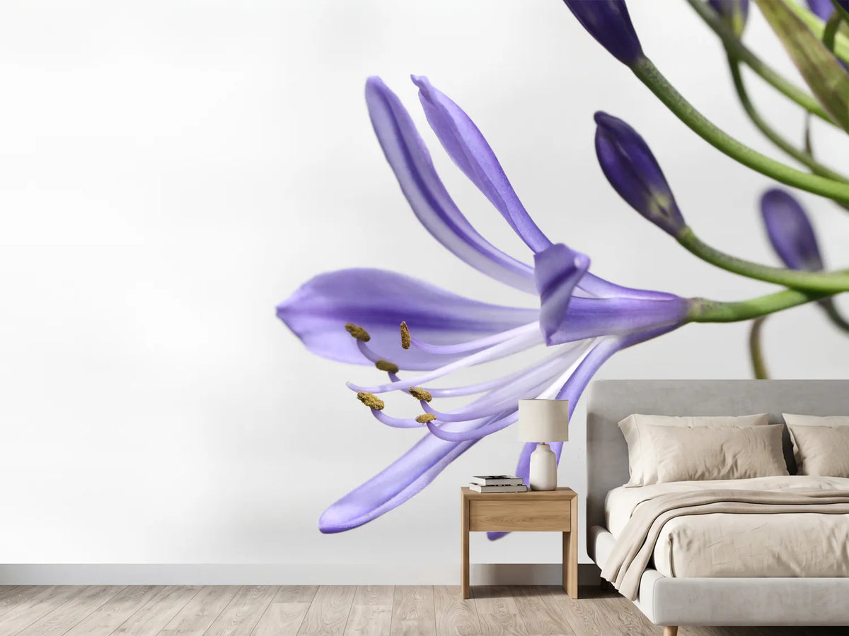 photo-wallpaper-lily-flower-in-purple