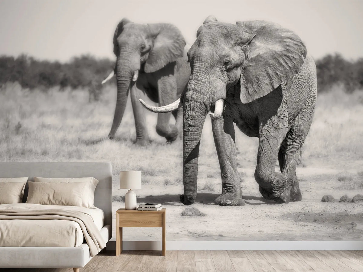 photo-wallpaper-twin-elephants-x