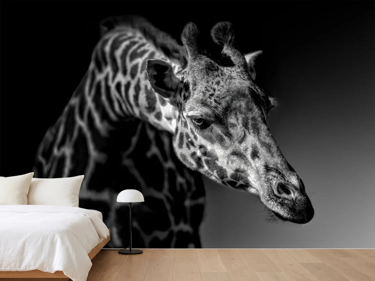 photo-wallpaper-giraffe-x