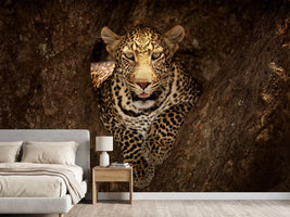 photo-wallpaper-leopard-resting-on-a-tree-at-masai-mara