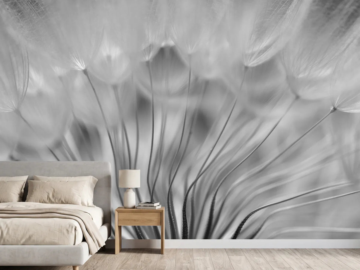 photo-wallpaper-dream-xir