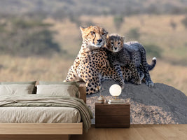 photo-wallpaper-cheetah-and-cup-x