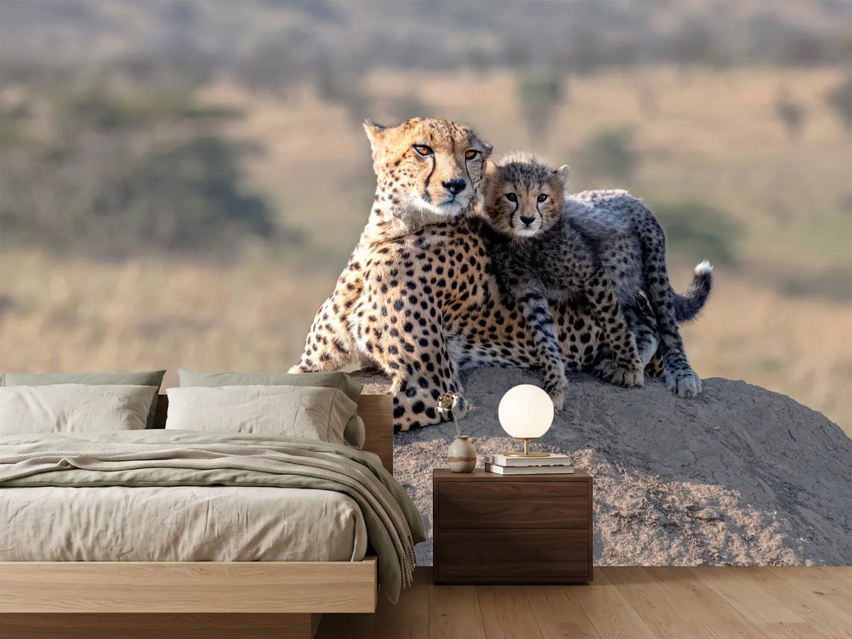 photo-wallpaper-cheetah-and-cup-x