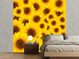 photo-wallpaper-a-bouquet-sunflower