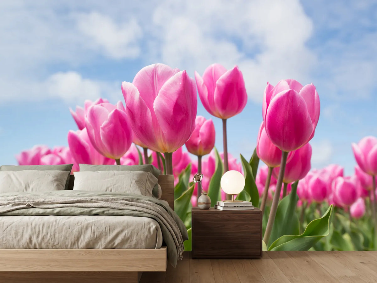 photo-wallpaper-tulip-field-in-pink