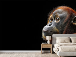 photo-wallpaper-young-orangutan-in-profile-against-deep-black