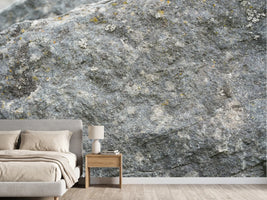 photo-wallpaper-natural-stone-texture-2